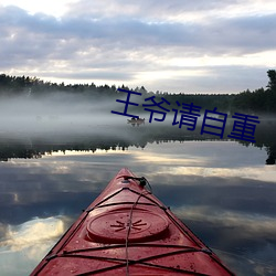 王爷请自重