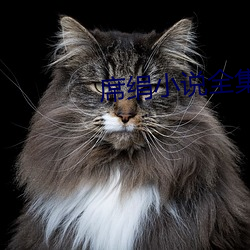 席绢小说全集