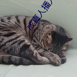 成直人播人软件大全 （渔翁之利）