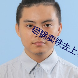 砸鍋賣鐵去上學txt