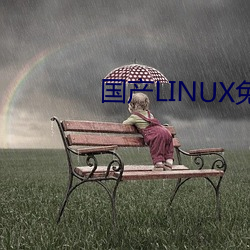 国(guó)产LINUX免费