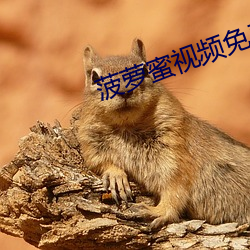 suncitygroup太阳集团--官方网站