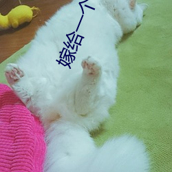 嫁給一個和尚
