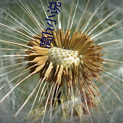 高h小说在线(xiàn)阅读(dú)