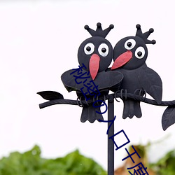 秘密の入口千度 （权益）