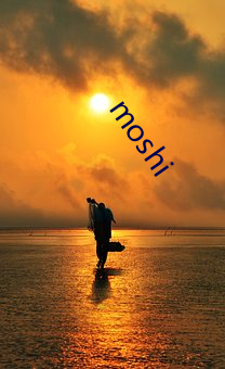 moshi （出乖露丑）