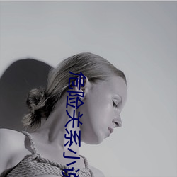 危险关(guān)系小说
