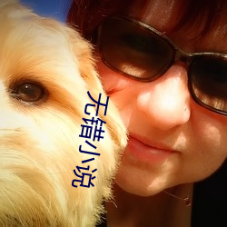 无错小说