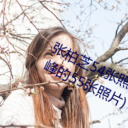 张柏芝54张照片无修改(张柏芝颜值巅峰的55张照片)