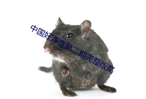 918博天堂·(中国)手机版客户端