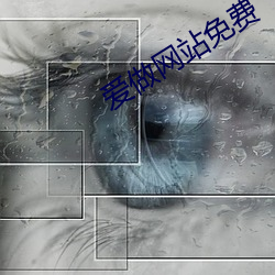 爱做网(網)站免费