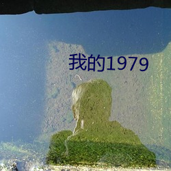 的1979