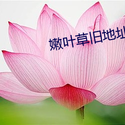 尊龙凯时人生就是搏(中国区)官方网站