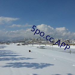 5po.cc APP