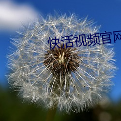 快活視頻官網