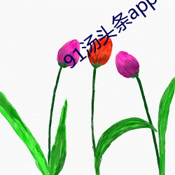 AG真人平台(中国)官方网站