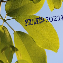 狠痕鲁2021在