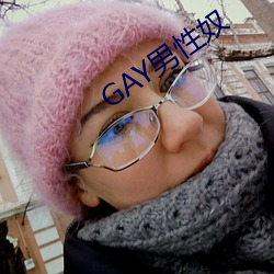 GAY男(男)性(性)奴