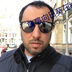 草莓(莓)向日葵在线观看