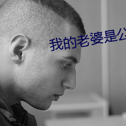我的老婆是公主