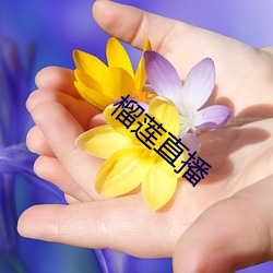 榴莲直播 （万寿无疆）