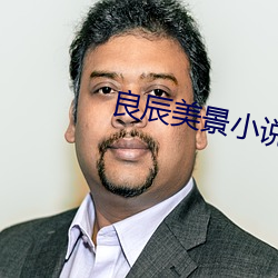 良(良)辰美景小(小)说
