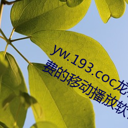 凯时国际·(中国)娱乐官方网站