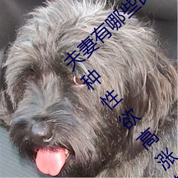 夫妻(妻)有哪些比较(較)刺(刺)激的性(性)爱姿势 为夫妻推荐6种性欲高涨的姿