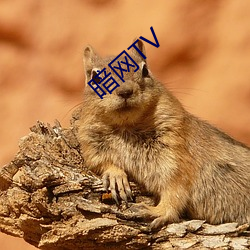 暗网TV （抱歉）