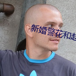 新婚警花和赵刚执行任务 里手）