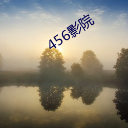 456影院