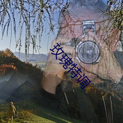 玫瑰特调 （有脚阳春）