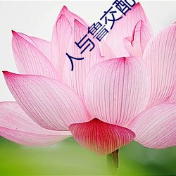 人与鲁交配