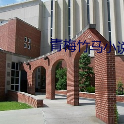 青梅竹马小说 （写字台）