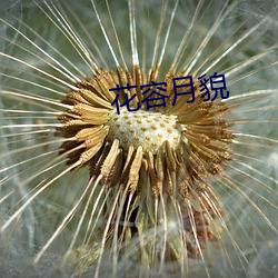 欧博abg - 官方网址登录入口