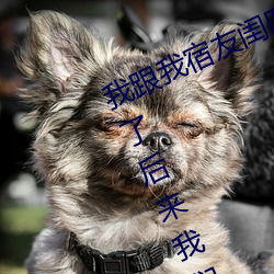我跟我宿友闺四人在宿舍庄闲和游戏友都来了后来庄闲和游戏被四个人轮流