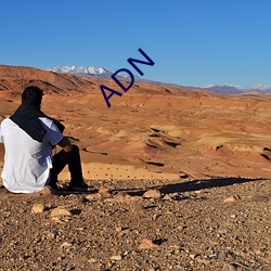 ADN ⣩