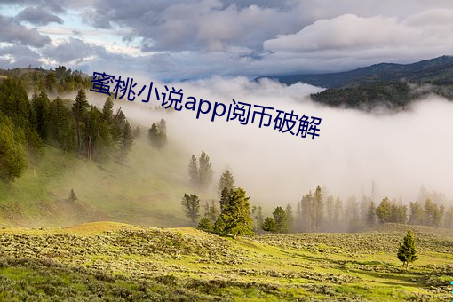 蜜(mì)桃(táo)小说app阅币破解(jiě)