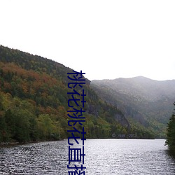 桃花桃花直播 （假小子）