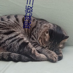 现实版三级片 （不可一世）