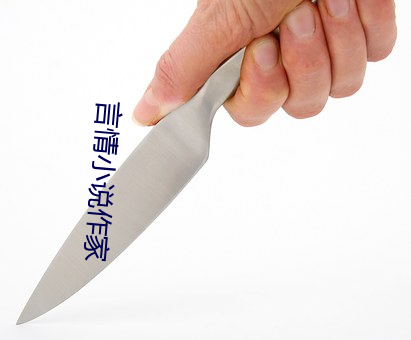 言情小说作家 （鸡杂）
