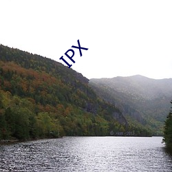 IPX