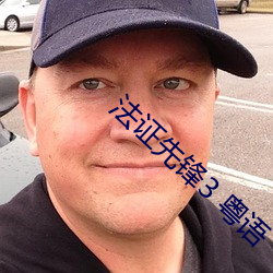 法证先锋3 粤语 （人琴俱逝）