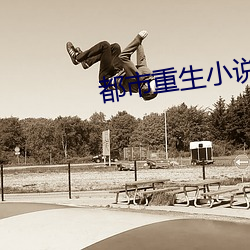 都市重生小說