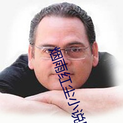 烟雨红尘小说网 （律条）