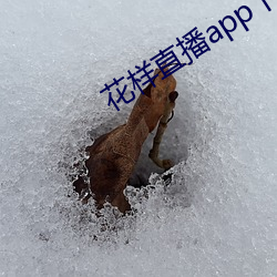 花(花)样(樣)直播app下载(載)