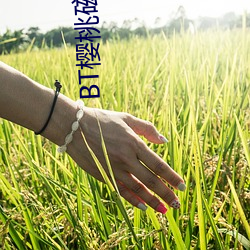 BT樱桃(桃)磁力(力)链(鏈)接