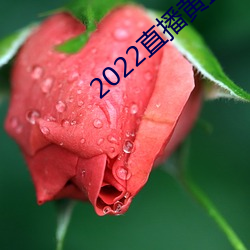 2022直播黃盒子