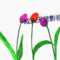 成人天堂影视