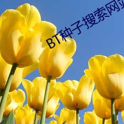 尊龙凯时·(中国)官方网站
